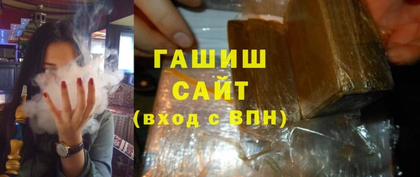 гидра Гусев