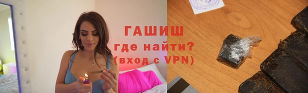 гидра Гусев