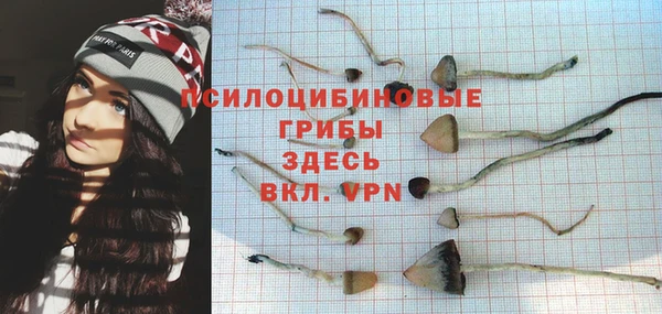 соль курить ск Гусь-Хрустальный