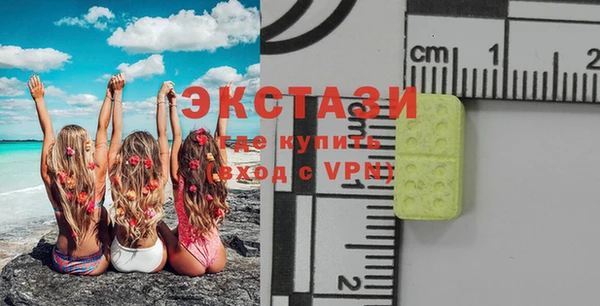 индика Тобольск