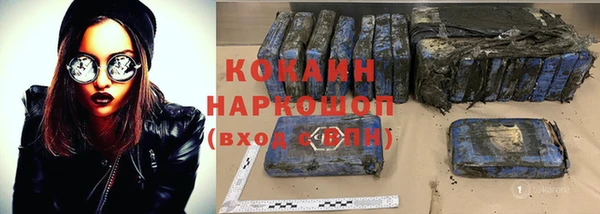 гидра Гусев