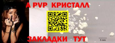 ешки Кингисепп