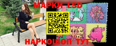 стаф Кимры