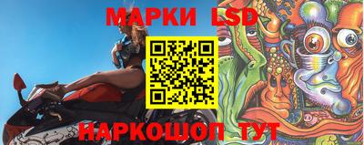 стаф Кимры