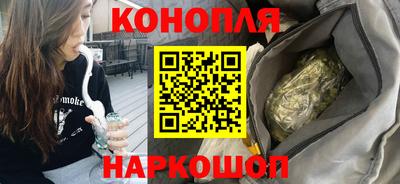 ешки Кингисепп