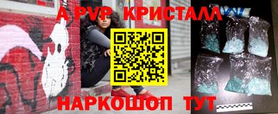 ешки Кингисепп