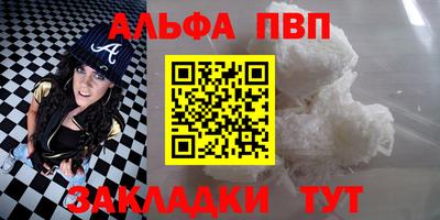 ешки Кингисепп