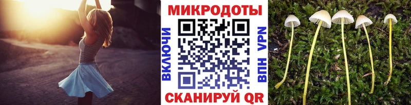 Галлюциногенные грибы Psilocybe  Усинск 