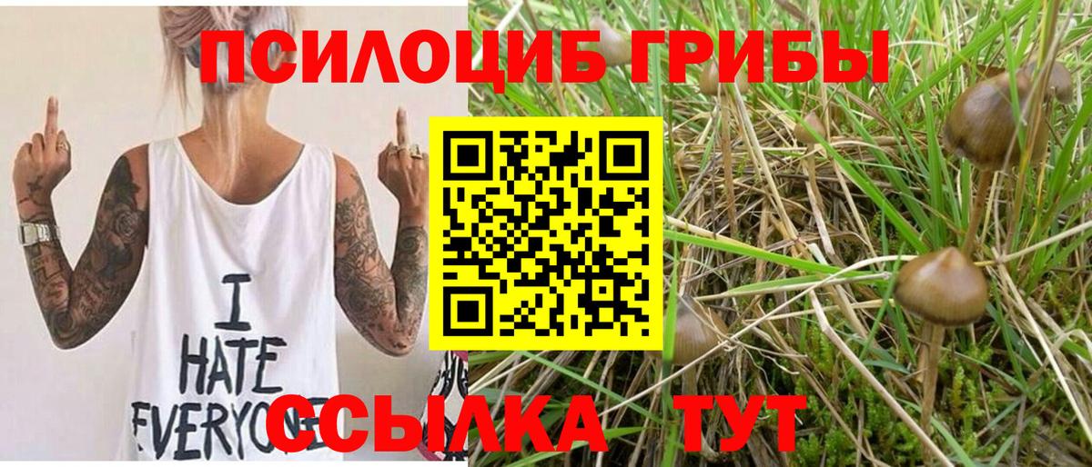 Псилоцибиновые грибы ЛСД Усинск