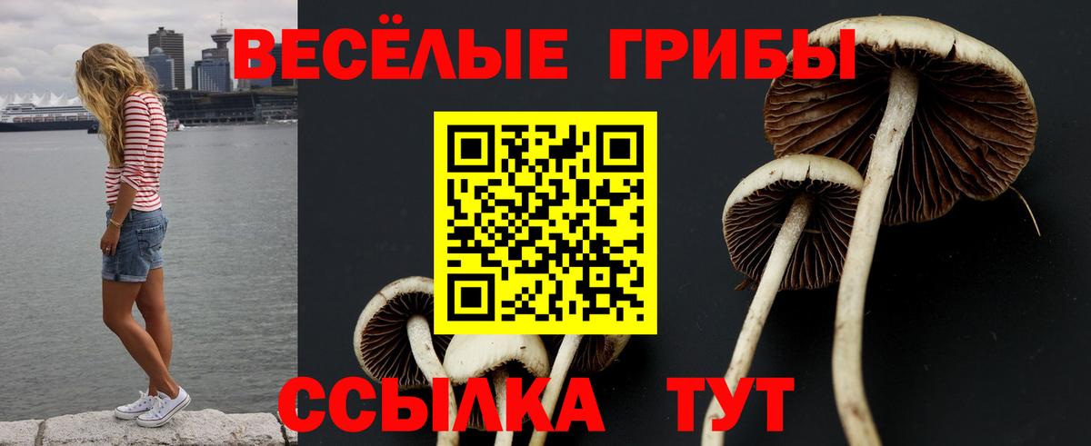 Галлюциногенные грибы GOLDEN TEACHER  Вход с VPN  Усинск 